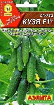 00002856_Огурец Кузя (Аэлита)