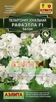 Пеларгония Рафаэлла белая (Аэлита)