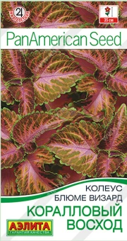 Снимок экрана 2025-08-01 145035