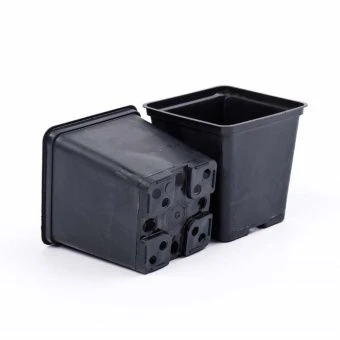 00006211_Горшок для рассады 0,52л 9x9 h9,5 1_50_11