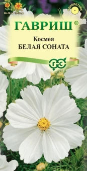 00007904_Космея Белая соната (Гавриш) 11000