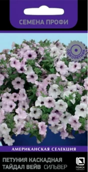 00040727_Петуния Тайдал Вейв Сильвер каскадная Сем