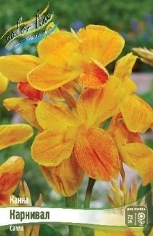 Canna Carnival
