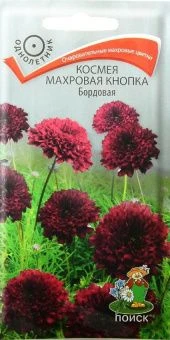 00029407_Космея Махровая кнопка Бордовая 0,1г (ПОИ