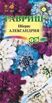 00040579_Иберис Александрия 0,2 г серия Альпийская