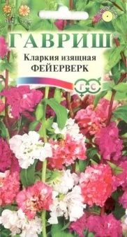 00007898_Кларкия Фейерверк смесь (Гавриш)