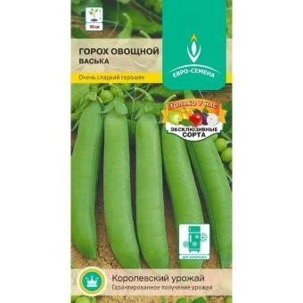 _ВАСЬКА~150-800x800