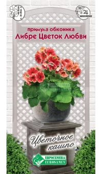 utimsi1692672995 (1)