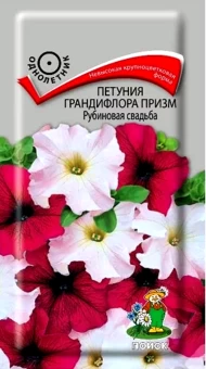 00021395_Петуния Рубиновая свадьба грандифлора при
