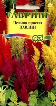 00007986_Целозия Павлин смесь перистая  (Гавриш) 1
