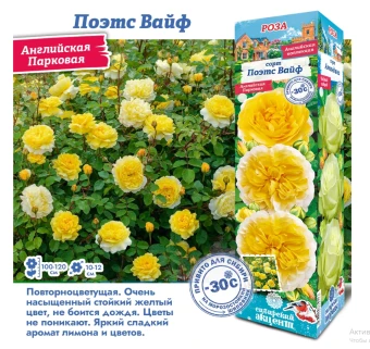 Снимок экрана 2025-10-09 160707