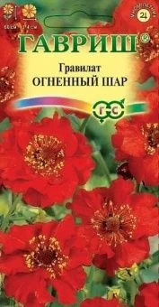 00007796_Гравилат чилийский Огненный Шар (Гавриш) 