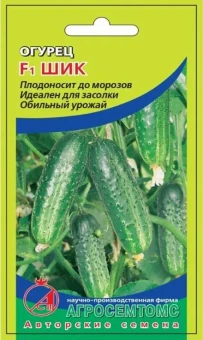 00018853_Огурец Шик (Агросемтомс)