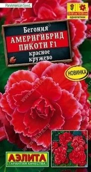 00033795_Бегония Америгибрид Пикоти красное кружев