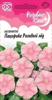 Катарантус Пацифика Розовый лед серия Розовые сны (Гавриш)