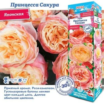 jhgce3f0k0ptyqc1epzaczbcy5sk5vjs