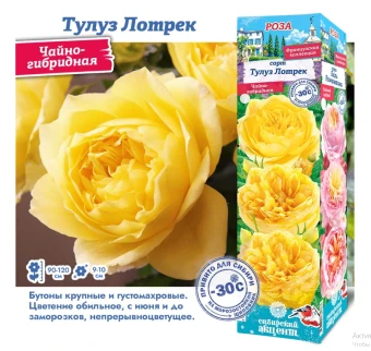 Снимок экрана 2025-10-09 171012