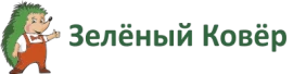 Зеленый ковер