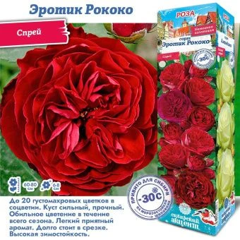 v90chtuwt4rnwwytplaj4m08vylb99lz