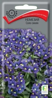 00041097_Немезия Соло синяя 0,05гр (ПОИСК)