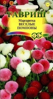 00007721_Маргаритка Веселые помпоны (Гавриш) 1_100