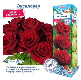 Снимок экрана 2025-10-10 090712