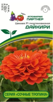 Цинния Дайкири