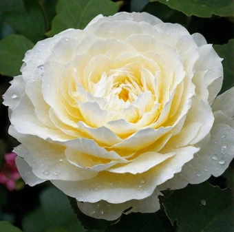 Снимок экрана 2025-10-22 134010