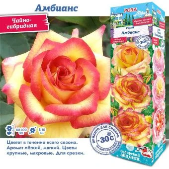 h17hp2tu6ma5lgoirwpbvrywrougts6w