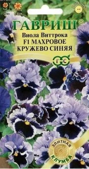 00009453_Виола Махровое кружево синяя (Гавриш) 110