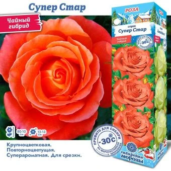 ewgce9cl5jeclolafef75v5srd22j7rs