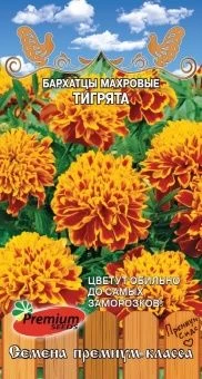 00032393_Бархатцы Тигрята отклоненные (Премиум Сид