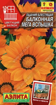 Снимок экрана 2025-08-01 112705