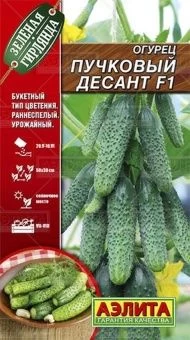 00020343_Огурец Пучковый Десант (Аэлита)