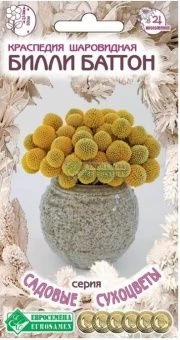 00041962_Краспедия Билли Баттон шаровидная 0,05г с