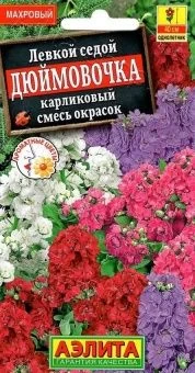 00002841_Левкой Дюймовочка смесь (Аэлита)