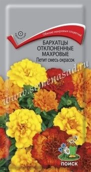 00036579_Бархатцы Петит смесь окрасок отклоненные 