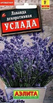 00030585_Лаванда декоративная Услада (Аэлита)