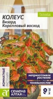 00036516_Колеус Визард Коралловый восход 10шт (Сем Алт)