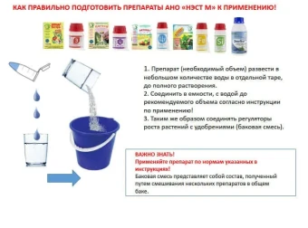 Циркон 1л (НэстМ) (2)