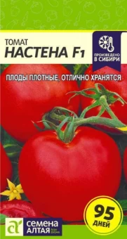 Снимок экрана 2024-11-18 124042