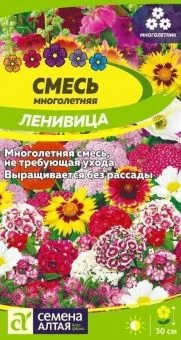 00042026_Смесь Ленивица многолетняя низкая 0,3г многолетник (Сем Алт)