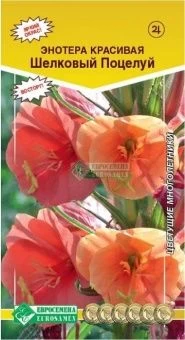 00041678_Энотера Шелковый поцелуй красивая 0,1г (Е