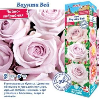 zum3p58y3m0d9cbfx2yque52snuolc3o