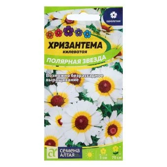 ЦБ-00000704_Хризантема Полярная Звезда килеватая 0,1г (Сем Алт)