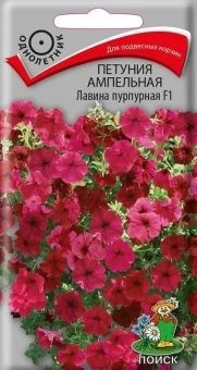 00021375_Петуния Лавина F1 пурпурная ампельная 10ш