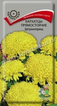 00041054_Бархатцы Цитроненпринц прямостоячие 0,4гр
