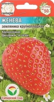 00015440_Земляника Женева 10шт (Сиб. сад)