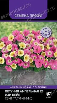 petunia_ampelnaya_E3_easy_wave_sweet_taffy_mix