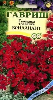 00008188_Гвоздика травянка Бриллиант (Гавриш) 1100
